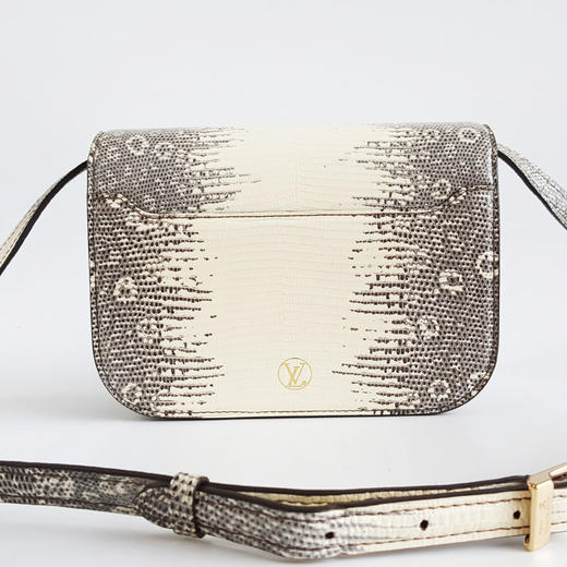 【95新】LV路易威登中号喜马拉雅蜥蜴皮Orsay单肩斜挎包女士 170126TJ51 商品图4