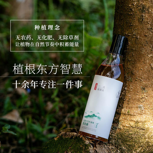 无患子艾叶清爽洗发液纯植物配方养发护发 商品图2