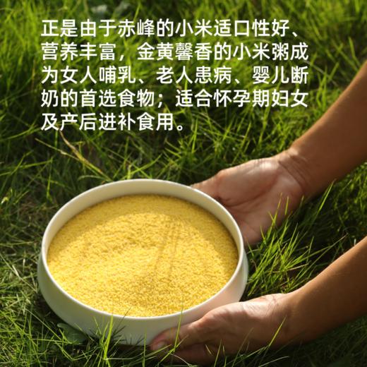 010全家福年礼 2026新年一家人的健康礼物 从早餐开始到零嘴和养生 都照顾到[果干  小米等] 商品图6