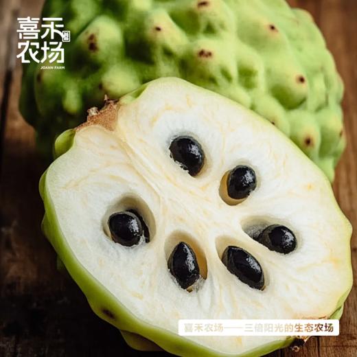 喜禾农场 牛奶释迦 5斤装5-6个 商品图0