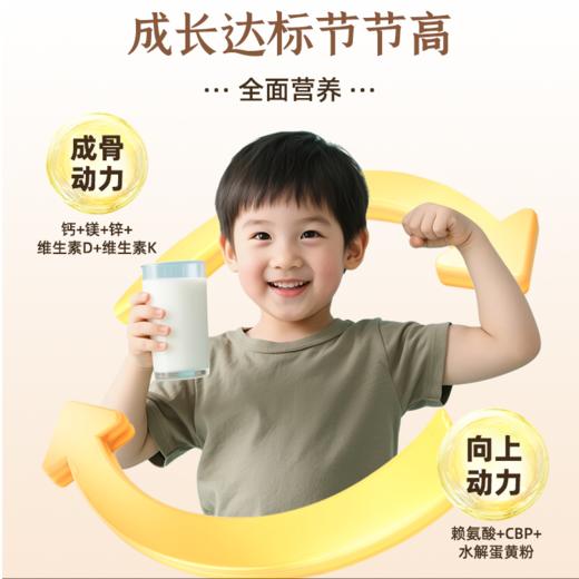 安琪纽特高高鹿 儿童成长配方奶粉 商品图3