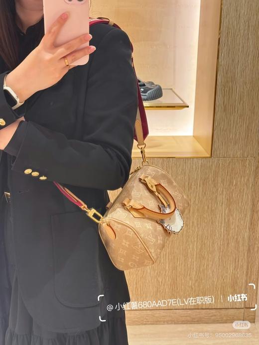 驴家 猫咪 Speedy 20  Bandoulière 手袋 M15151 （JPH） 商品图4