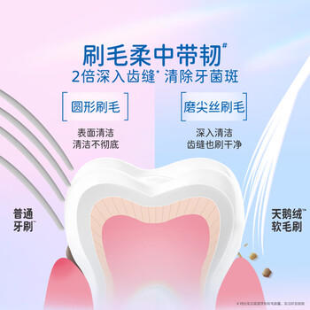 佳洁士天鹅绒牙刷护龈小宽头超细软毛成人两支装新旧包装颜色随机 /个人护理 /口腔护理 /牙刷 商品图5