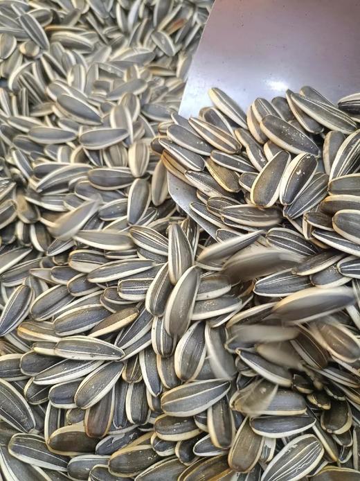 干炒瓜子 商品图0