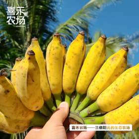 喜禾农场海南芭蕉 5斤装（16-19个）