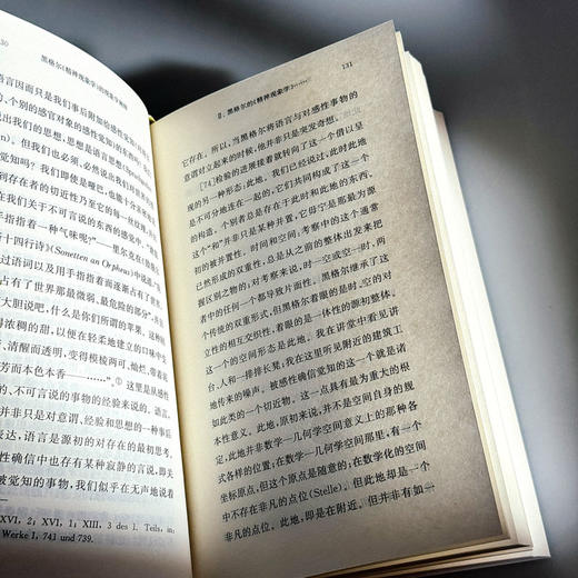 黑格尔《精神现象学》的现象学阐释 快与慢文丛 精装 商品图11
