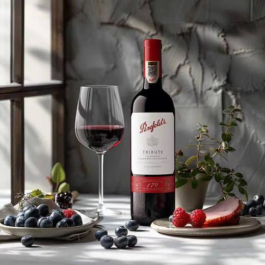 奔富礼赞限量版红葡萄750ml 商品图0