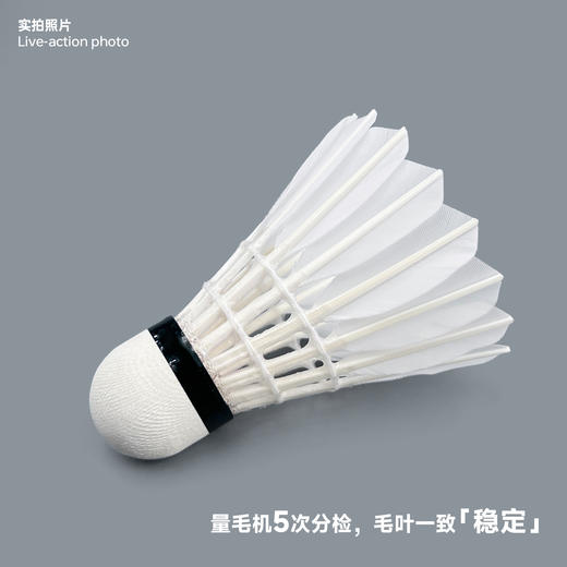 飞羽 羽毛球 比赛级 优质鹅毛 红羽-G2000 商品图2