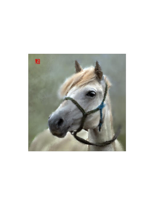 宝音丨 收藏级礼品照片 商品图1