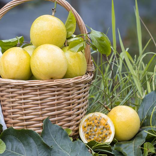 喜禾农场百香果特大果 2.8-3.1斤装15个 商品图1