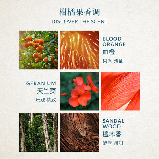 欧珑淡香精 赤霞橘光 30ml 有效期至30-9 商品图4
