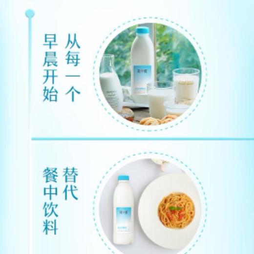 简爱（乳品） 原味裸酸奶 风味发酵乳 1.08kg 商品图2