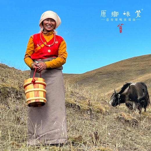 青藏高原牦牛酸奶（基地直发-顺丰快递） | 多种规格，来自青海同德县，生产者：岗仁梅朵【合作生产，公平贸易】 商品图6