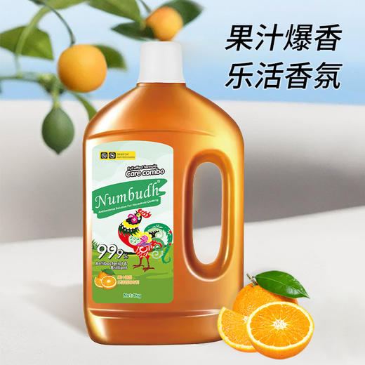 南堡家居除菌液1L*4 商品图5