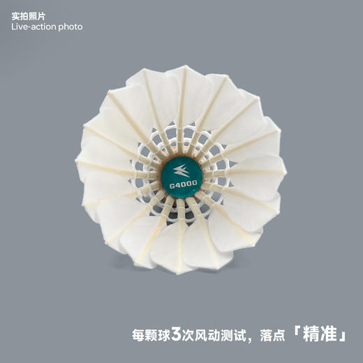 飞羽 羽毛球 训练级 优质鸭毛 青羽-G4000 商品图4