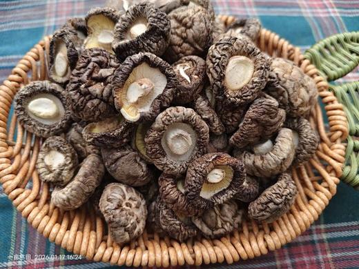 【特价】酵素木耳、香菇 | 287项检测无农残，香味浓郁，味道鲜美 || 明月 商品图3