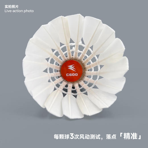 飞羽 羽毛球 训练级 优质鸭毛 橙羽-C600 商品图4