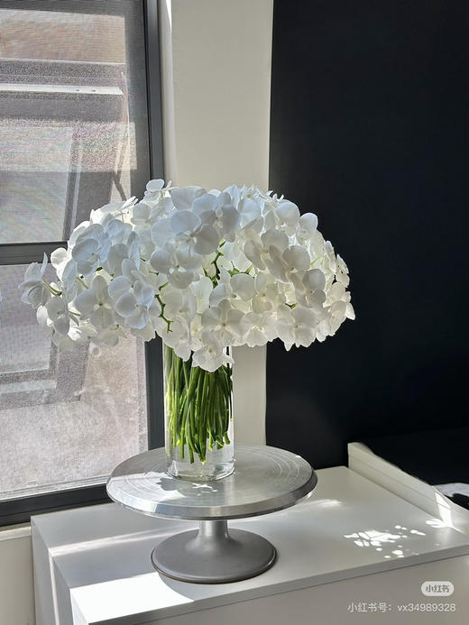 【纯洁的爱】蝴蝶兰-白天鹅（鲜切枝）单枝 商品图3