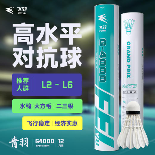 飞羽 羽毛球 训练级 优质鸭毛 青羽-G4000 商品图0