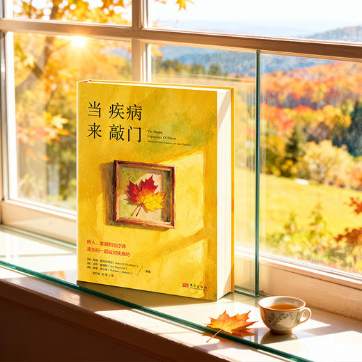 当疾病来敲门：病人、家属和治疗师是如何一起应对疾病的 商品图2
