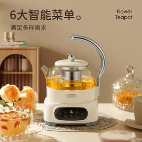 史诗级捡漏【德世朗花茶壶】600ml容量