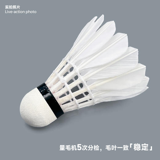 飞羽 羽毛球 训练级 优质鸭毛 橙羽-C600 商品图2