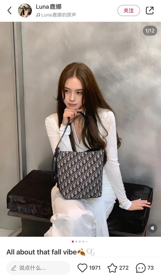 一店k （香港🇭🇰订单！客供面料！）新年发财桶！时髦精的秋冬搭子！迪丽热巴明星同款 小号老花水桶包 商品图0