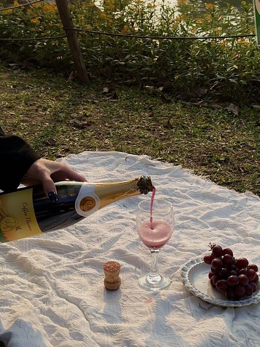 澳洲原瓶进口碧安迪咖啡无醇起泡香槟女生巴罗萨0酒精750ml/瓶 商品图4