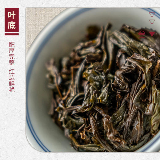 【山纯限品】2026年043玉华洞四角岩老枞水仙17g 商品图4