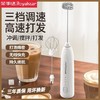 荣事达咖啡打泡器 牛奶搅拌器 电动搅拌棒家用奶泡打发器打蛋器手持 商品缩略图0