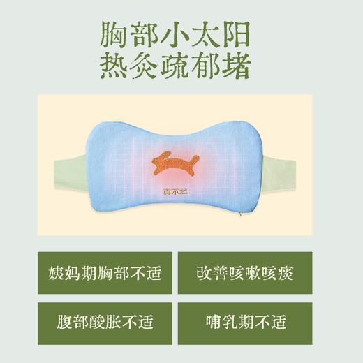 【真不二】「散结套组」玳玳花胸部热敷袋+散结汤1袋+元胡五灵脂贴2盒八髎贴 商品图2