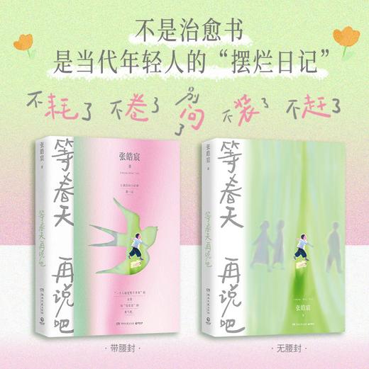 等春天再说吧（ 张皓宸2025全新随笔集。用日常微光对抗必须立刻有答案的无力与焦虑。别催了，有些事，等春天再说吧） 商品图1