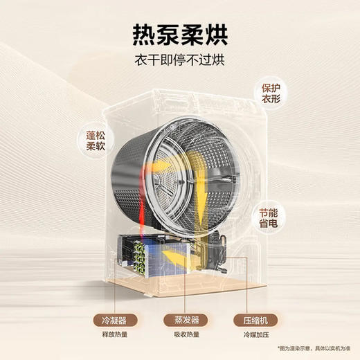 海尔（Haier）洗烘套装 EG100BD88PLUS+EHG10088PLUS 商品图7