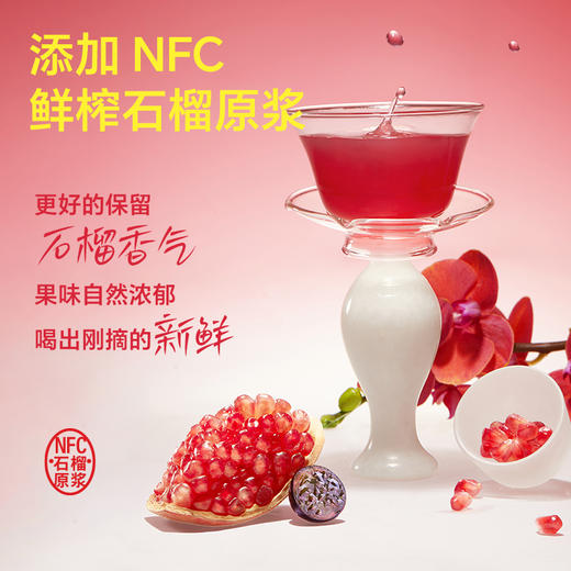 光合植造 发财瓶（软籽石榴黑加仑果蔬汁）310ml 多规格 商品图2