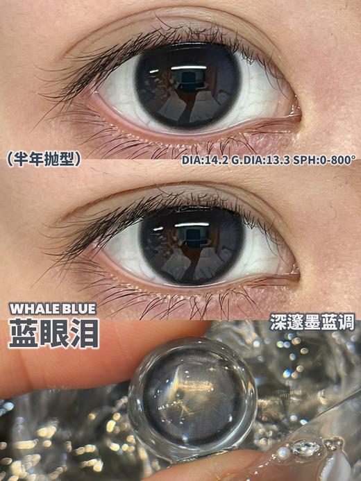 Monstercon半年抛·不止乖巧/蓝眼泪·14.2mm中等着色 商品图6