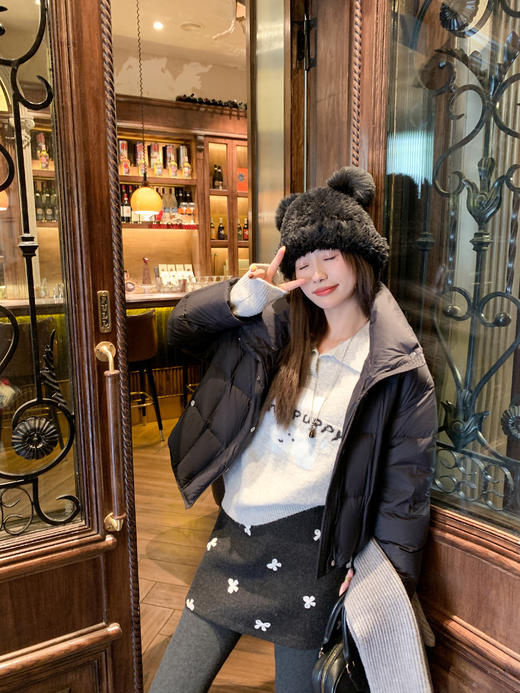 <曾小咸推荐>现货秒杀 ！微信超特价！韩系刺绣半裙 日常139.99 立减70 秒杀69.99！！ 立领羽绒服  秒杀369.99！ 商品图6