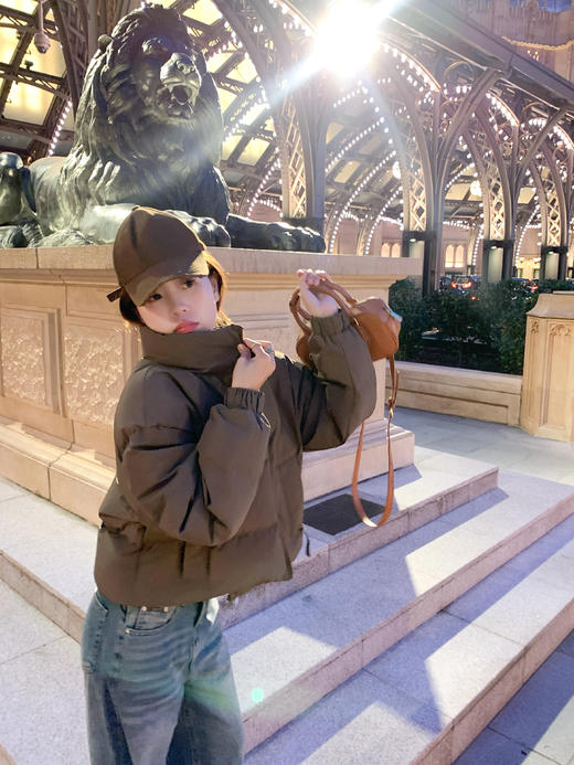 <曾小咸推荐>现货秒杀 ！微信超特价！美式复古短款立领羽绒服 日常449.99 立减160 秒杀289.99！！ 商品图9