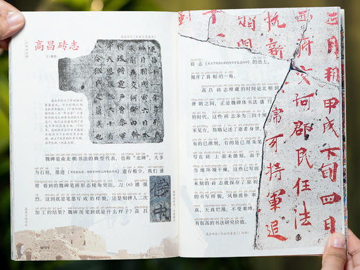 《儿童文学》杂志2026全年订12期/24本|中国儿童文学Di一刊，汇聚古今中外名家精华力作，阅读+写作+艺术审美+品格养成，滋养童年Bidu之书！ 商品图10