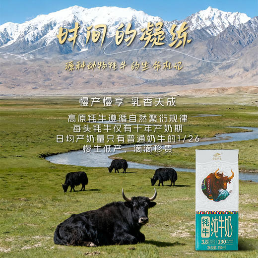 【尝鲜装】青藏祁莲祁连山牧场 牦牛奶含量≥80% 250ml*3支 商品图2
