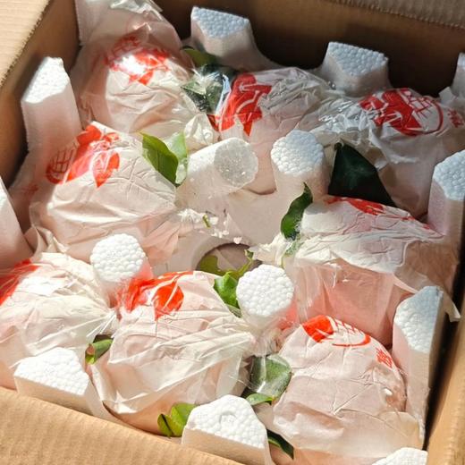 正宗眉山自然熟春见耙耙柑  果大皮薄肉质脆嫩 商品图5