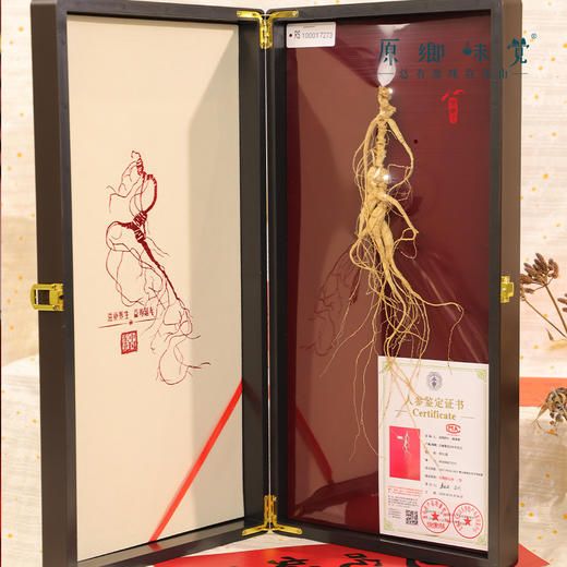林下野山干参/干人参（成都仓库-顺丰快递）｜多种规格，来自通化集安，生产者：刘春显 商品图13