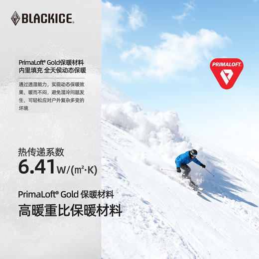 黑冰男士金标p棉保暖手套冬季单双板滑雪骑行防泼水Z2306 商品图1