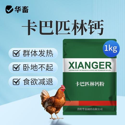 华畜兽药卡巴匹林钙兽用猪用退烧退热退烧镇痛药鸡鸭感冒禽用鸡药 商品图0
