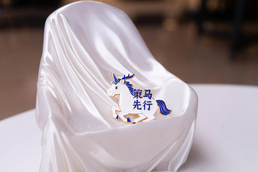 寻知系列·策马先行（徽章） 法律出版社文创用品 商品图3