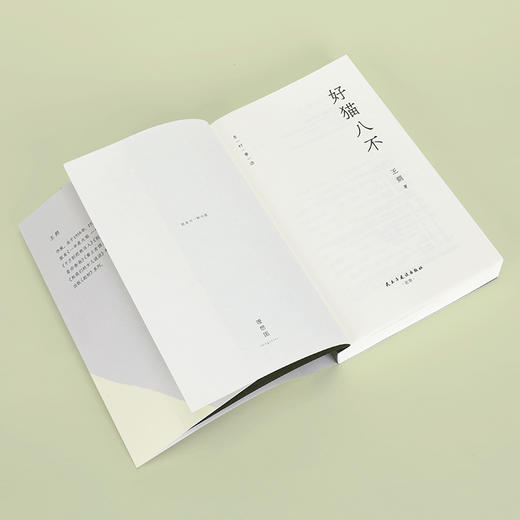 好猫八不 王朔 著 商品图5