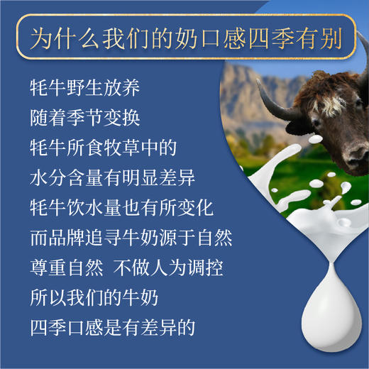 青藏祁莲祁连山牧场 牦牛奶≥30% 200ml*12支 新年送礼礼盒 商品图5
