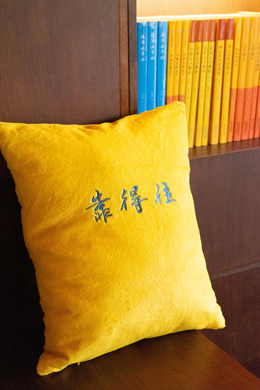 寻知系列·靠得住（靠枕 ）文创产品 法律出版社 商品图1