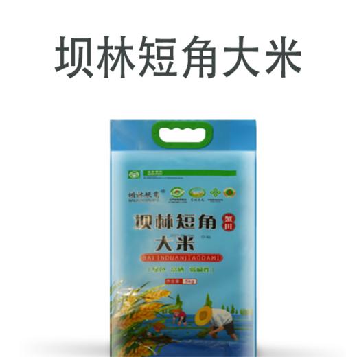【自营】内蒙古巴林右旗坝林短角大米5kg*1 商品图1