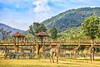 湖州太湖龙之梦欢乐世界大酒店×1晚套餐·含国际大马戏+动物世界/冰雪小镇 商品缩略图11