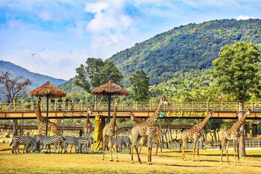 湖州太湖龙之梦欢乐世界大酒店×1晚套餐·含国际大马戏+动物世界/冰雪小镇 商品图11